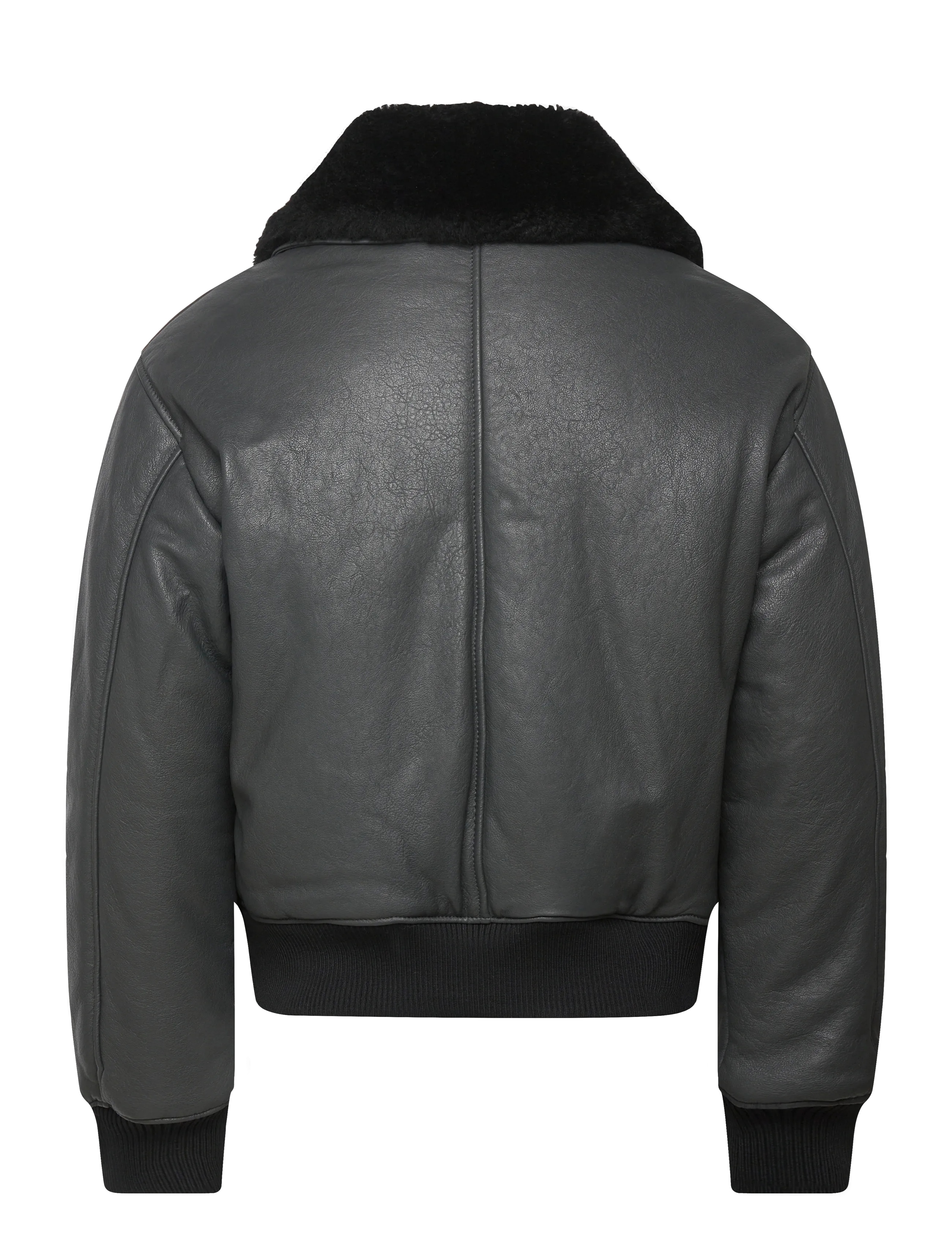 AMI - LEATHER ZIPPED JACKET - frühlingsjacken - 020 : anthracite - 1
