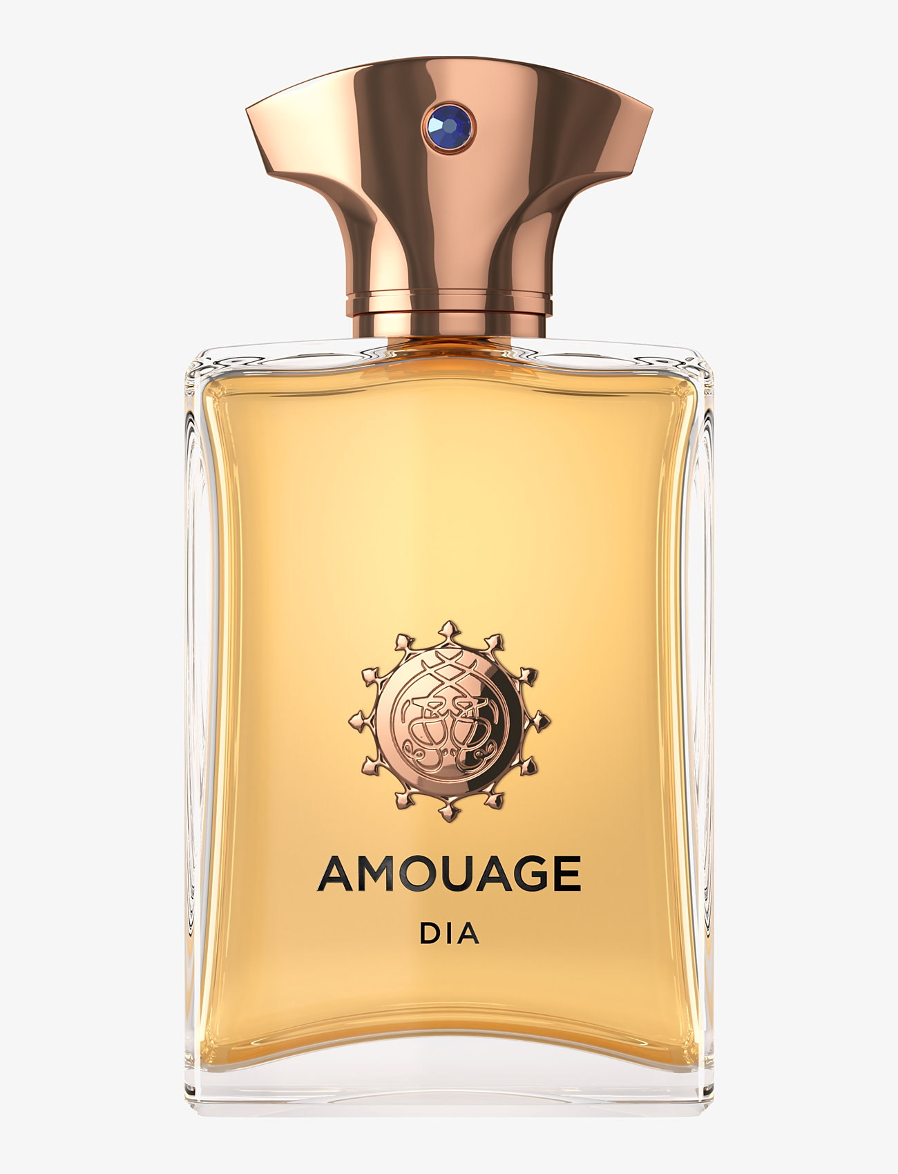 Amouage - DIA MAN EDP 100 ML - mõlemale soole - clear - 0