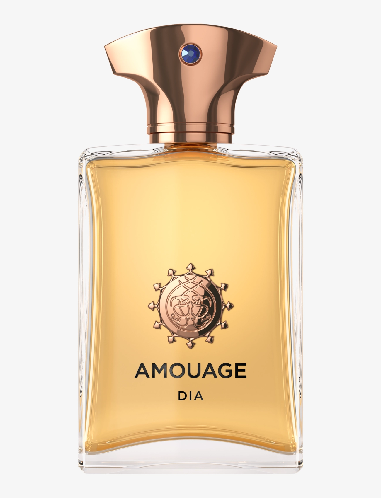 Amouage DIA MAN EDP 100 ML - Parfym - CLEAR / undefined