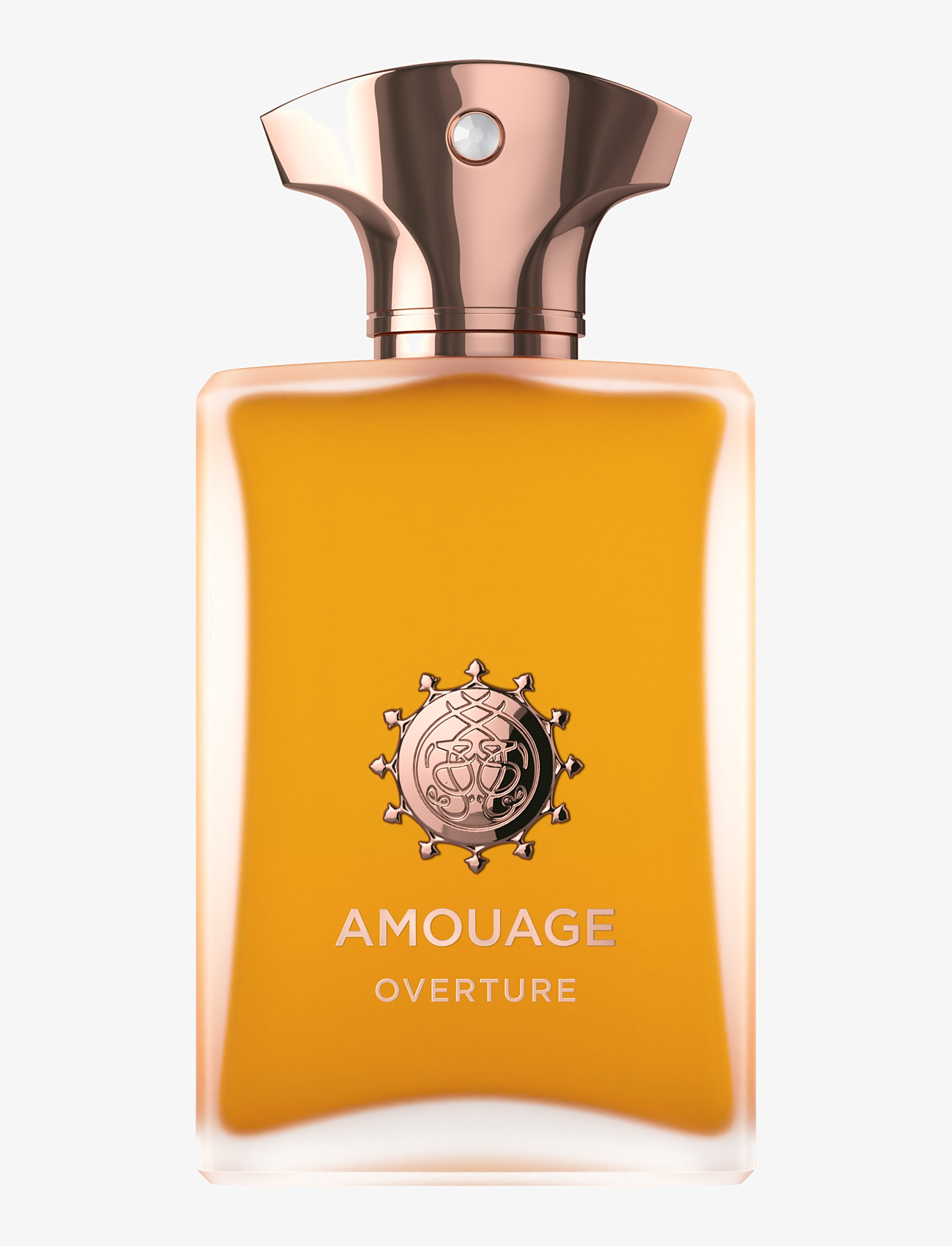 Amouage - AMOUAGE OVERTURE MAN EDP 100ML - unisex - clear - 0