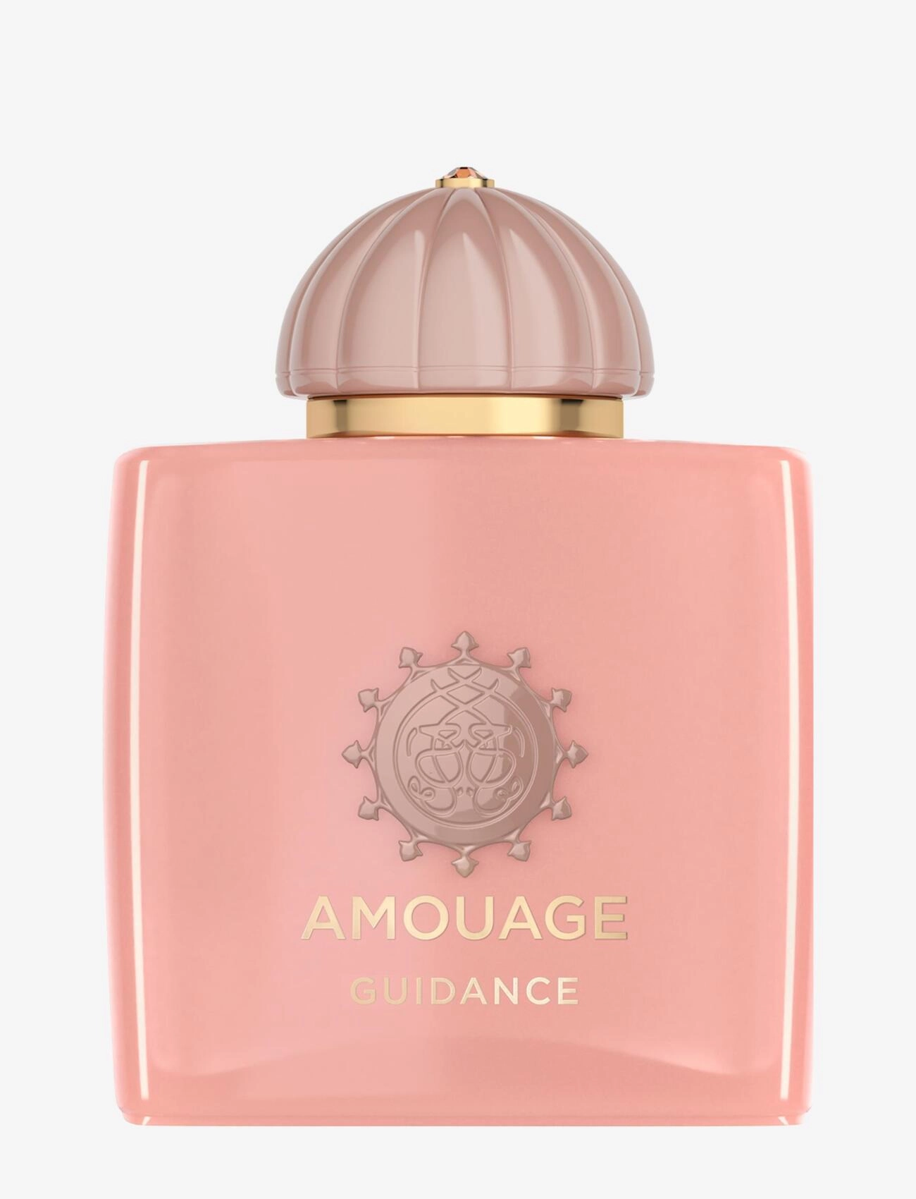 Amouage Guidance Woman Edp 100ml - Parfüüm - null / undefined