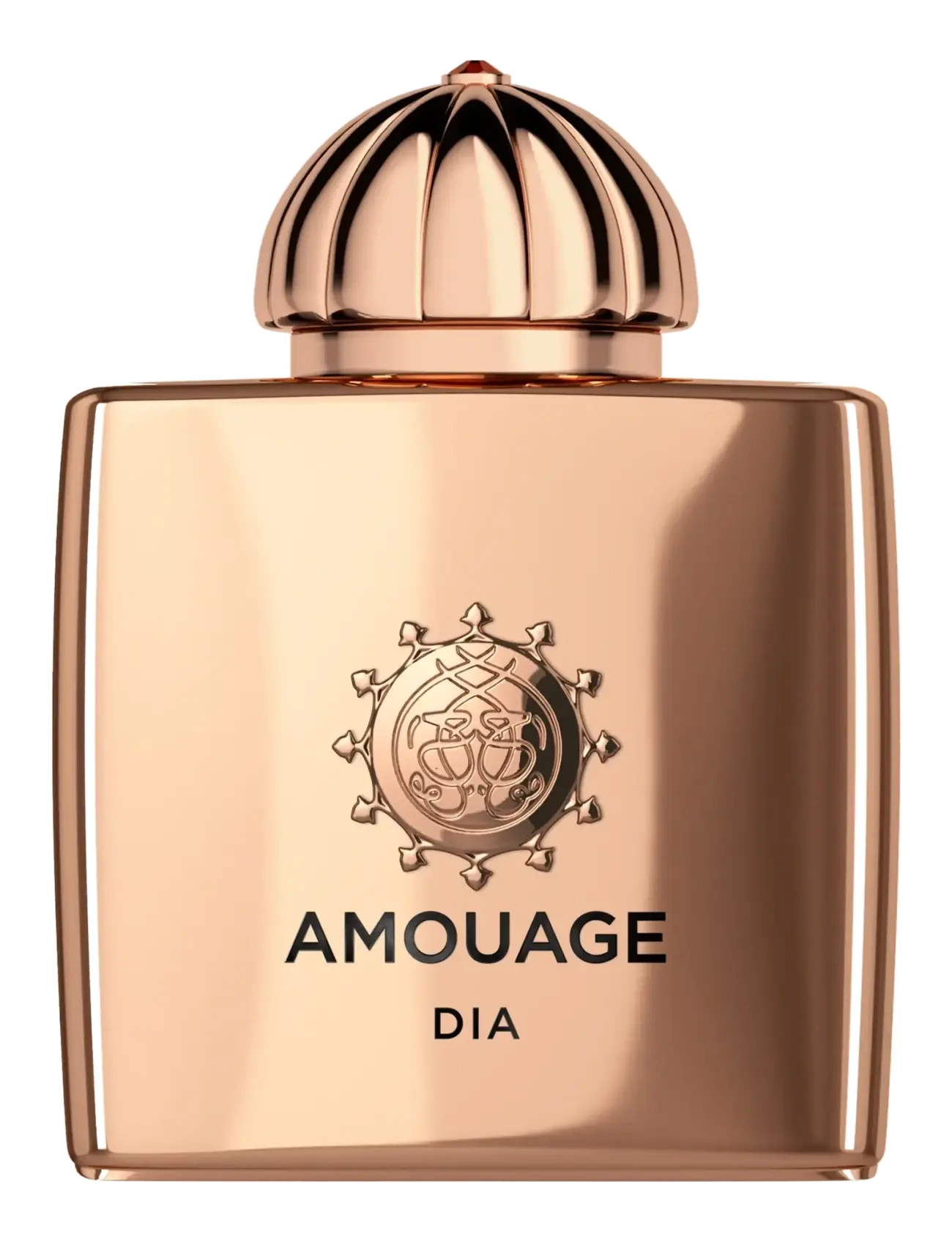 Amouage Dia Woman Edp 100 Ml, Parfumee, Nude, Str: 100 ML