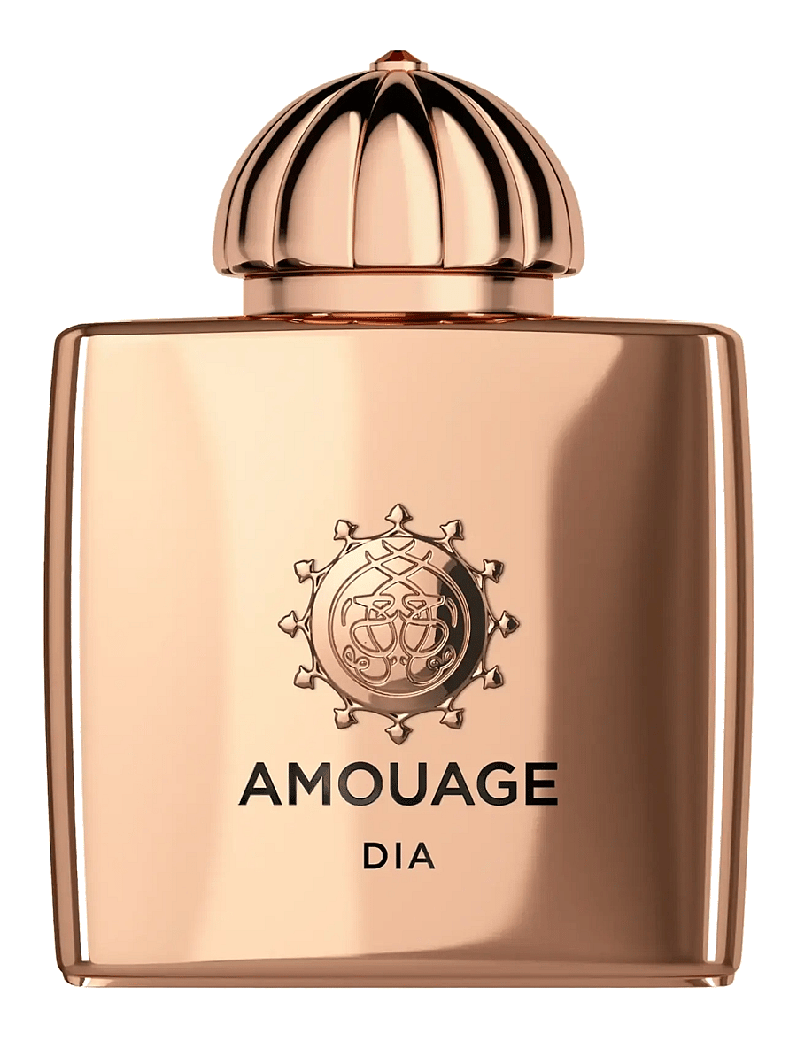 Amouage - AMOUAGE DIA WOMAN EDP 100 ML - unisex - clear - 0