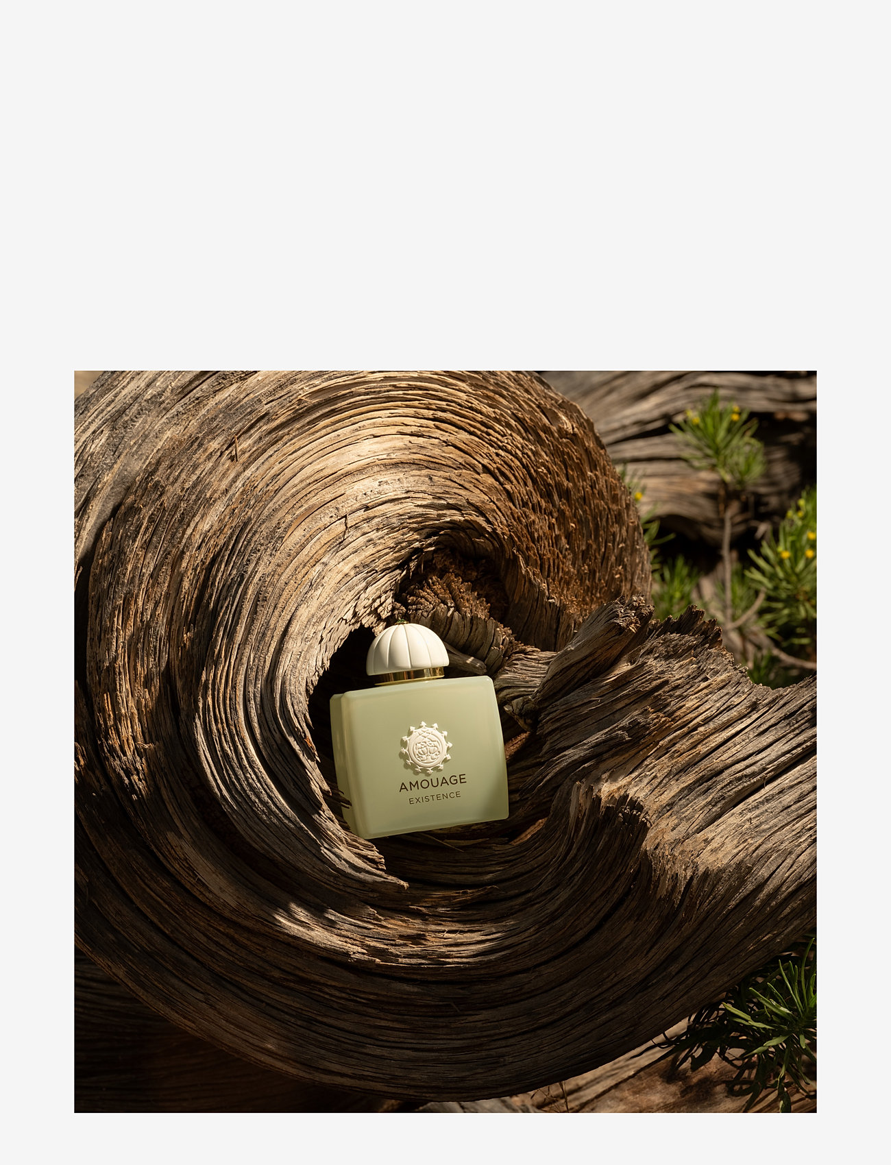 Amouage - Amouage Existence edp 100 ml - unisex - clear - 3