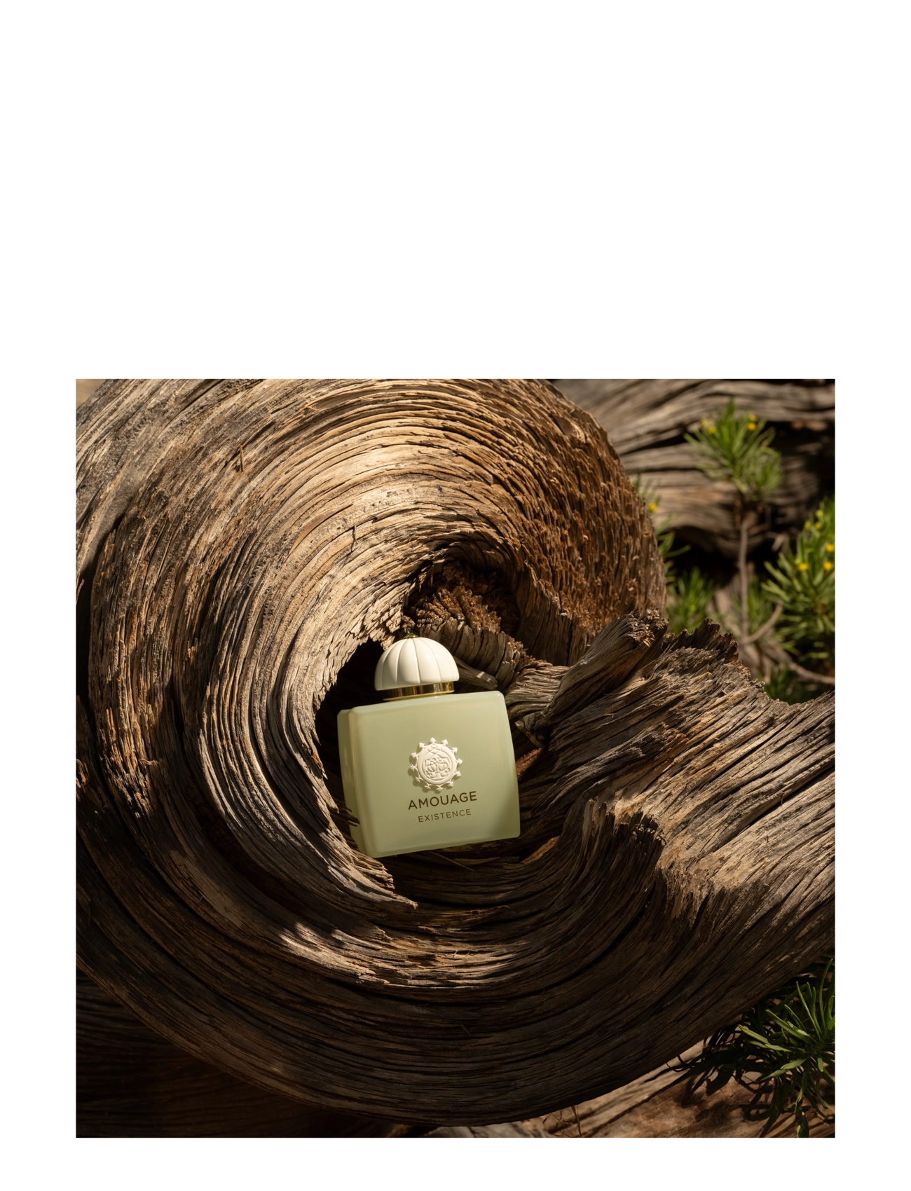 Amouage - Amouage Existence edp 100 ml - unisex - clear - 2