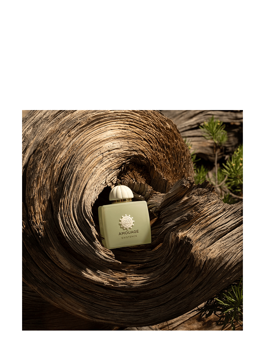Amouage - Amouage Existence edp 100 ml - mõlemale soole - clear - 2