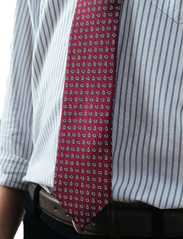 AN IVY - The Counselor - ties - red/white/blue - 1