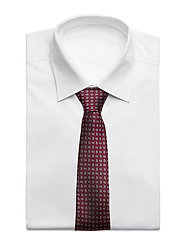AN IVY - The Counselor - ties - red/white/blue - 2