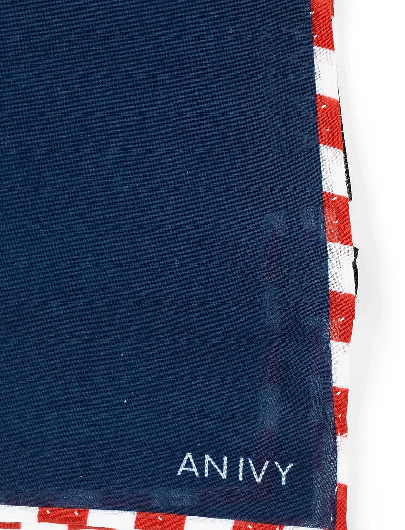 AN IVY - Tricolore Borders Navy - einstecktücher - navy/white/red - 3