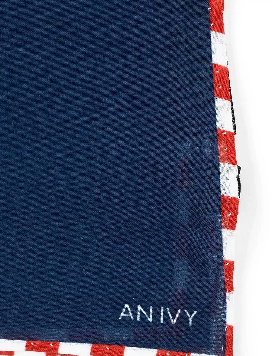 AN IVY - Tricolore Borders Navy - taskurätid - navy/white/red - 3