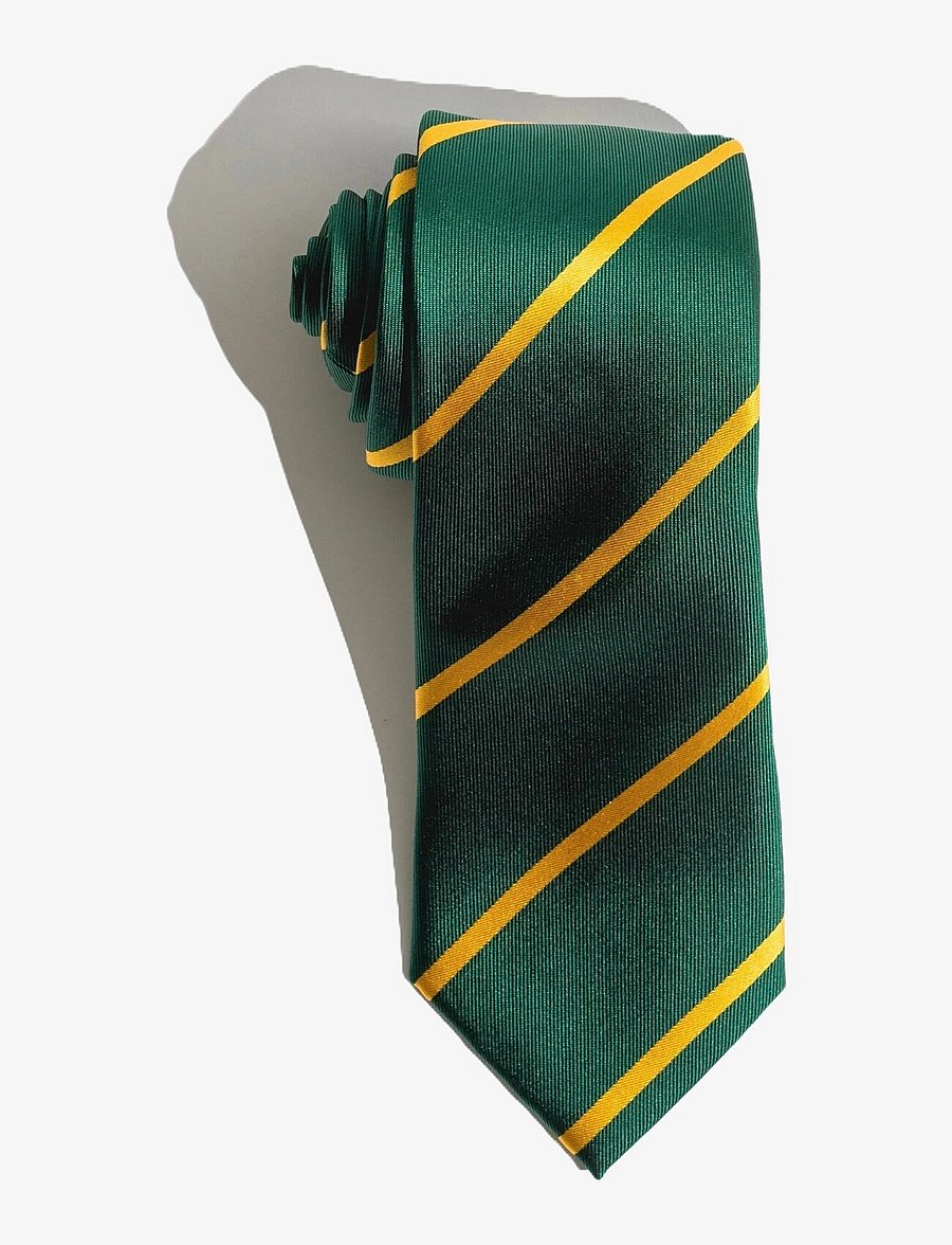 AN IVY - The New League - slipsar - green/yellow - 0