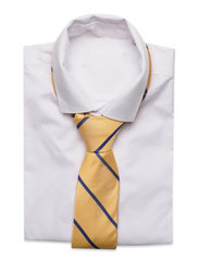 AN IVY - Yellow Blue Single Stripes Silk Tie - solmiot - yellow/blue - 2