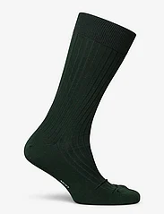 AN IVY - Forrest Green Ribbed Socks - green - 1
