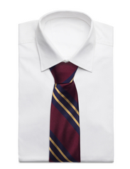 AN IVY - Miles Burgundy Striped Silk Tie - krawaty - burgundy - 1