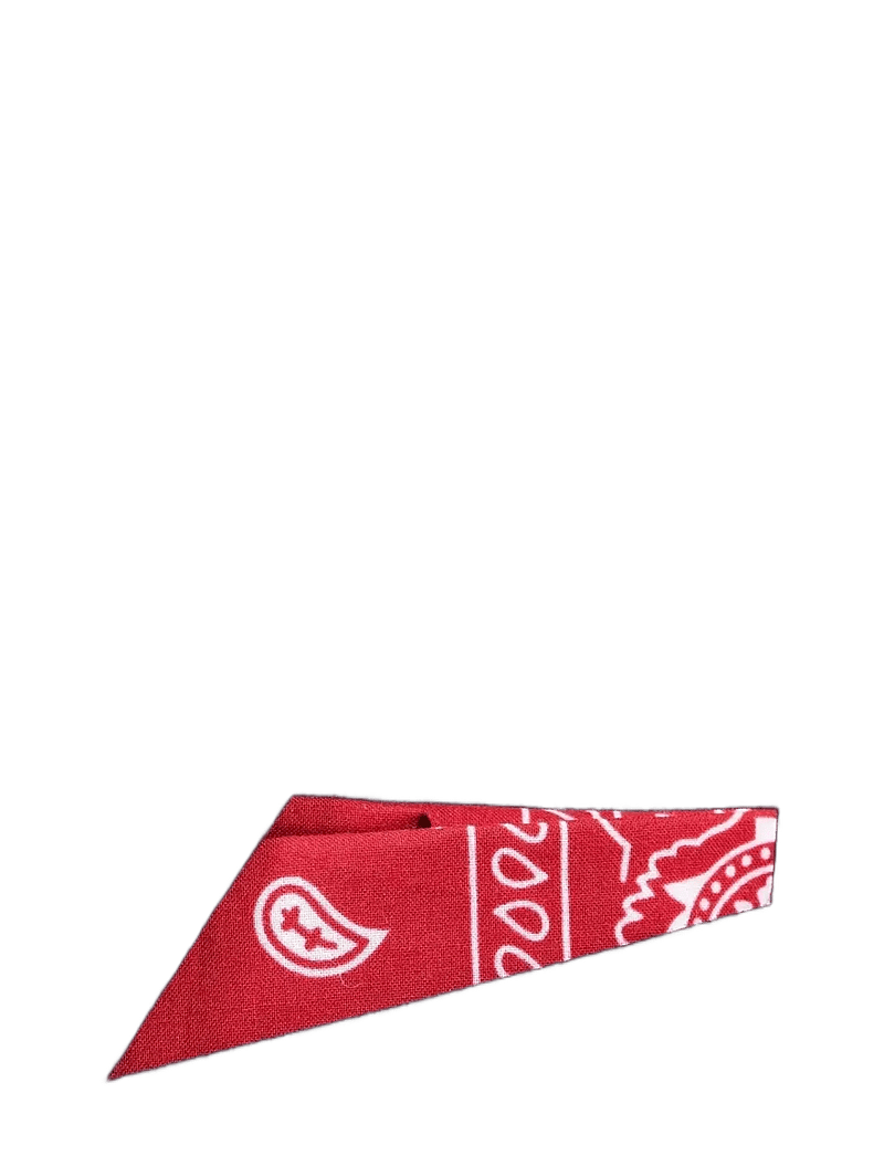 AN IVY - Red Bandana Pocket - einstecktücher - red - 1