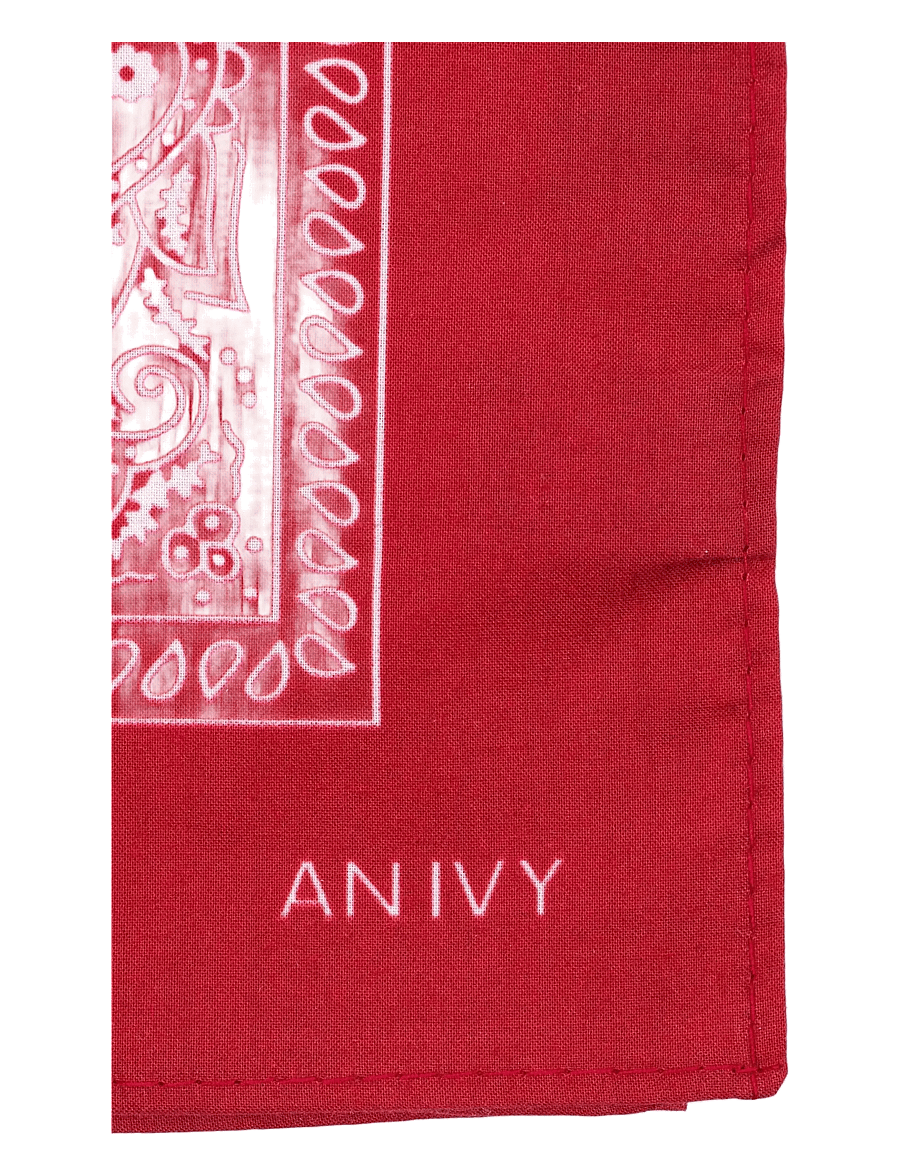 AN IVY - Red Bandana Pocket - einstecktücher - red - 2