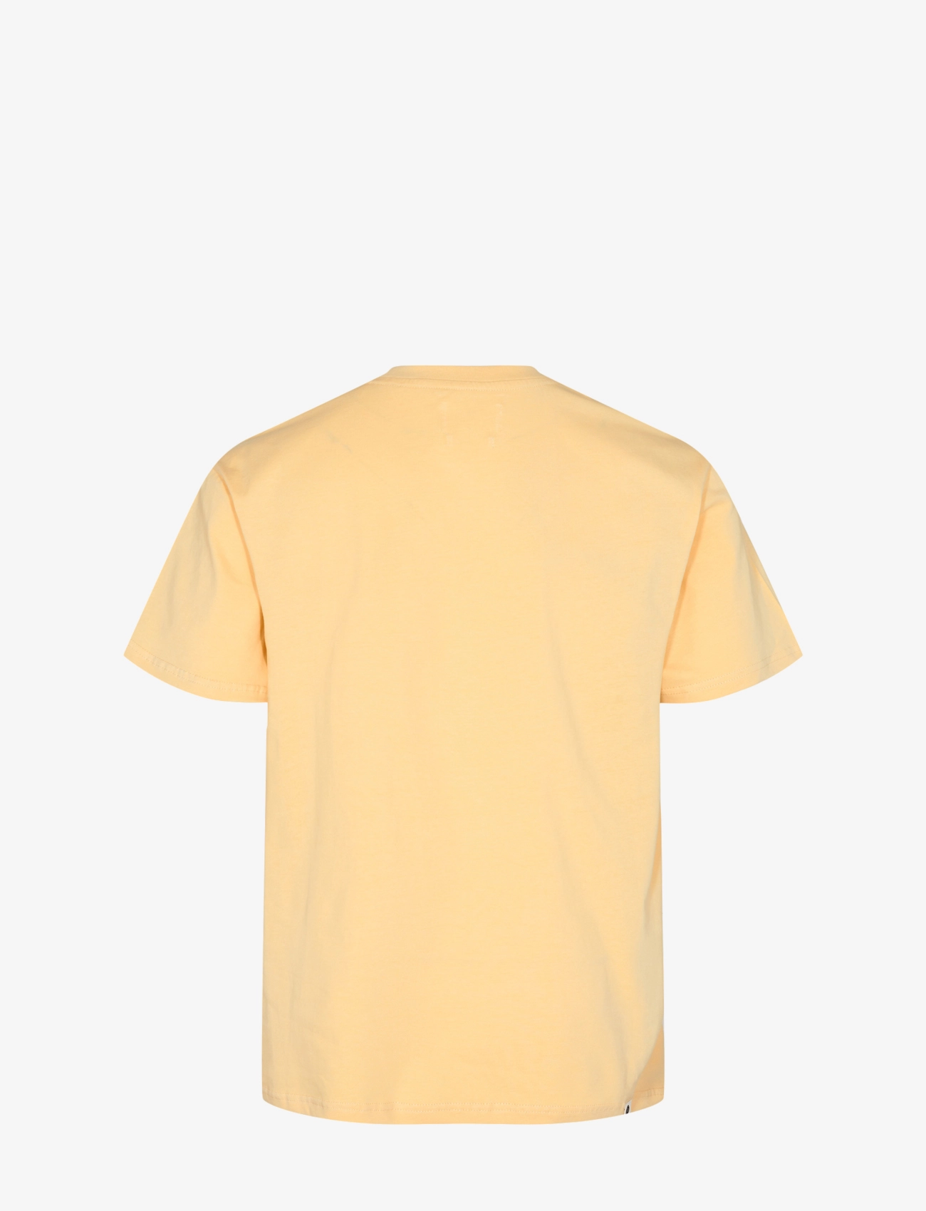 Anerkjendt - AKKIKKI S/S LOGO TEE NOOS - impala - 1