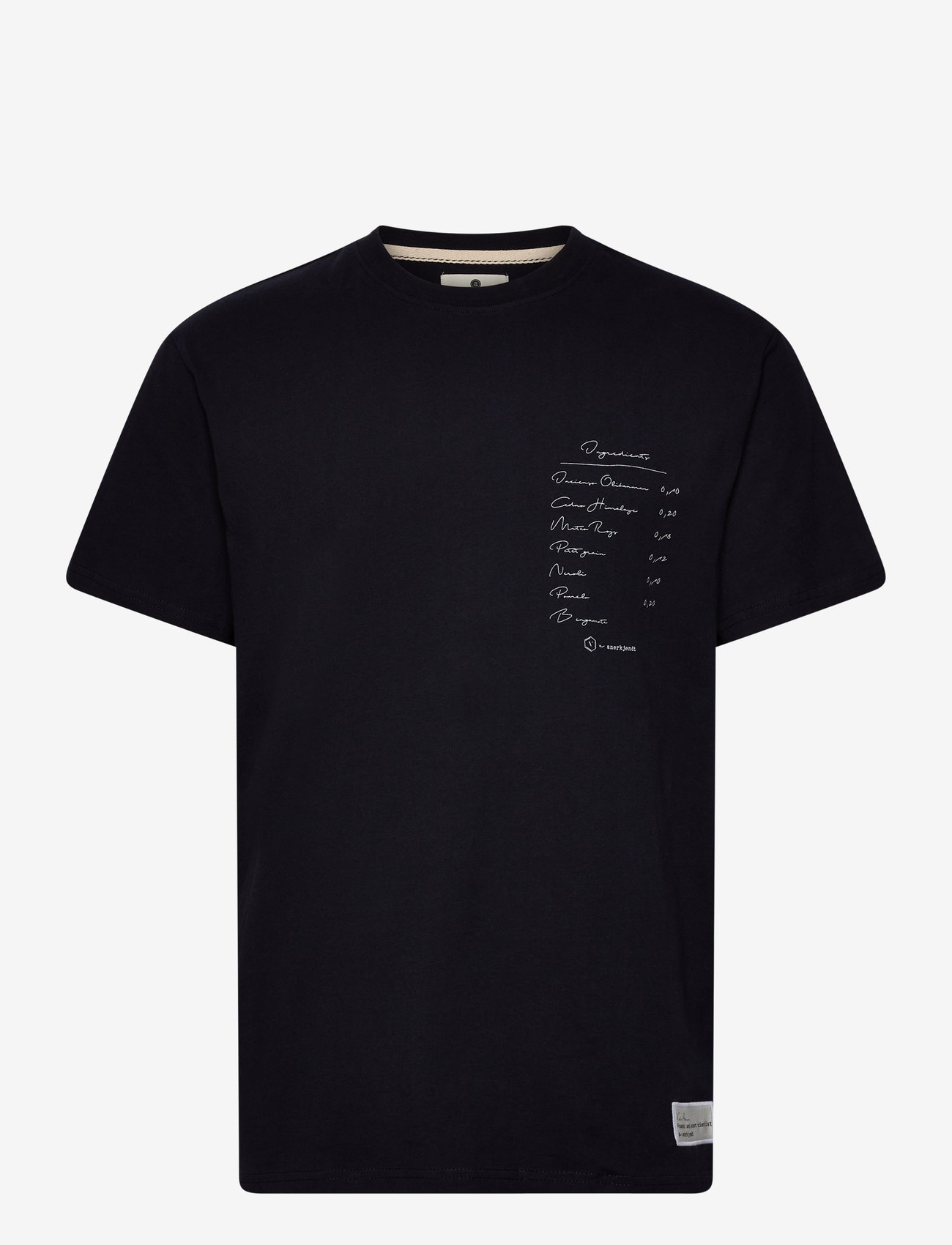 Anerkjendt - AKKIKKI STIOFAN - C TEE - dark navy - 0