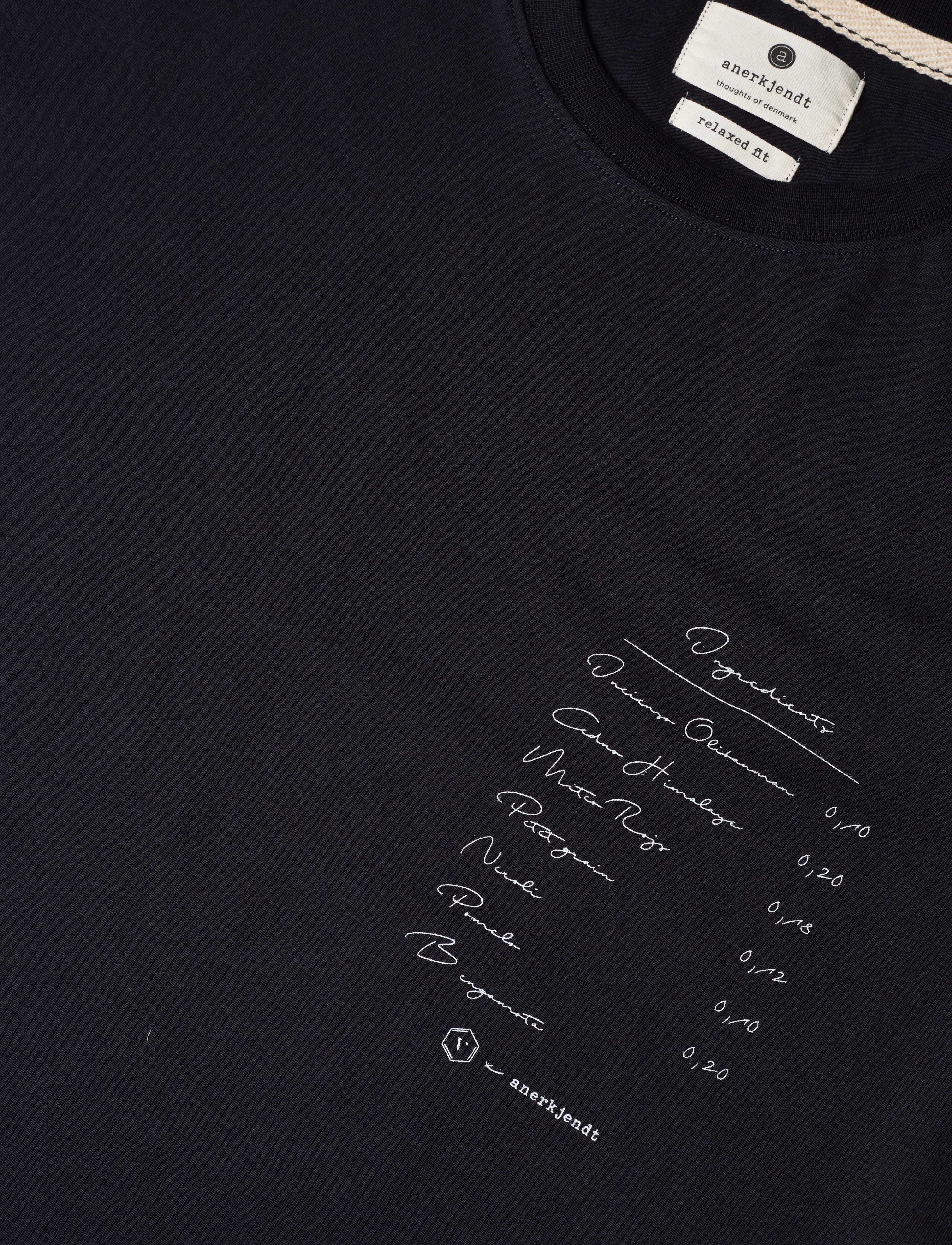 Anerkjendt - AKKIKKI STIOFAN - C TEE - dark navy - 2