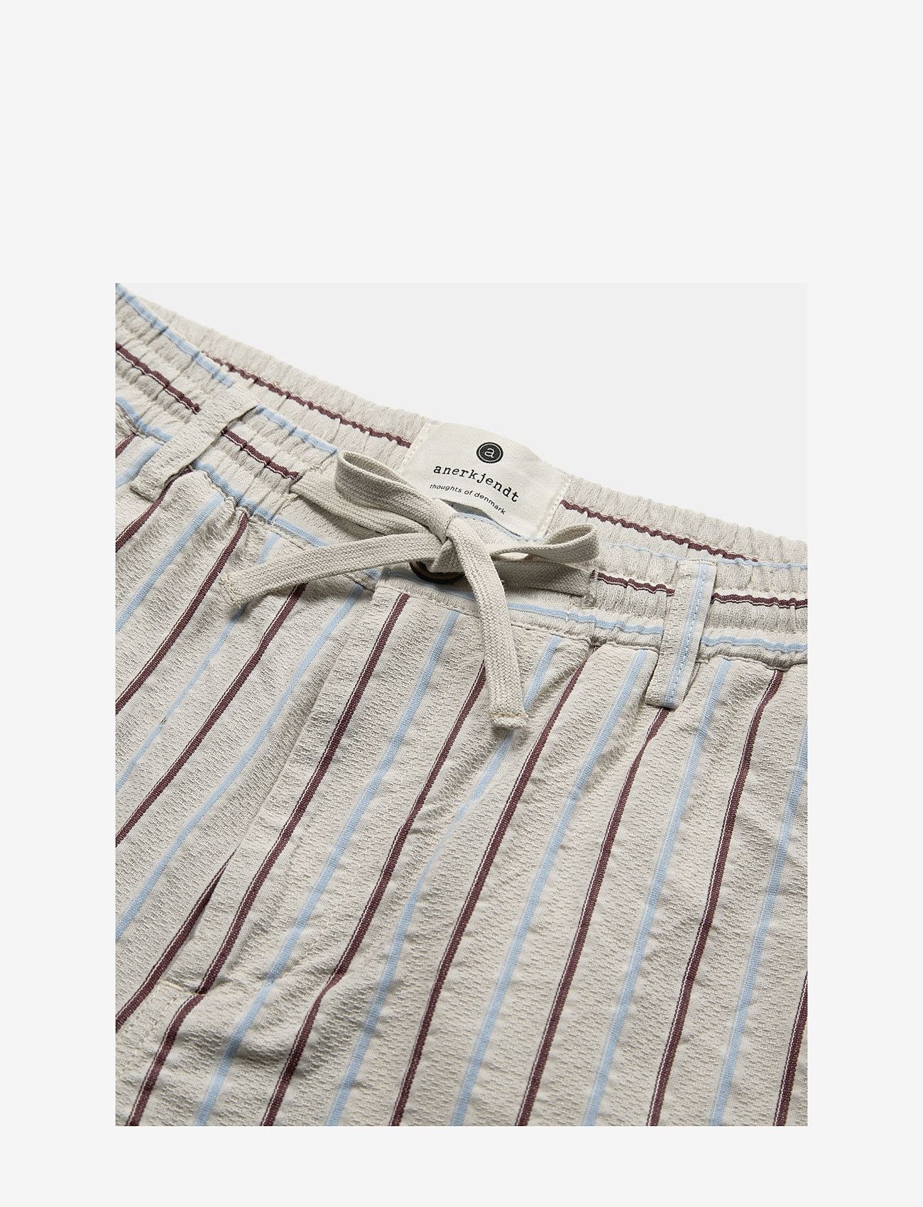 Anerkjendt - AKLT JAN STRUCTURE ELA SHORTS - lühikesed vabaajapüksid - brown rice - 2