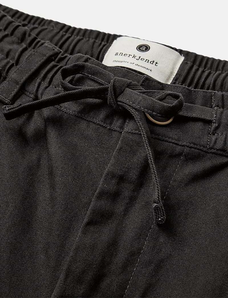 Anerkjendt - AKJAN COTTON PLEAT ELA PANTS - casual trousers - caviar - 2