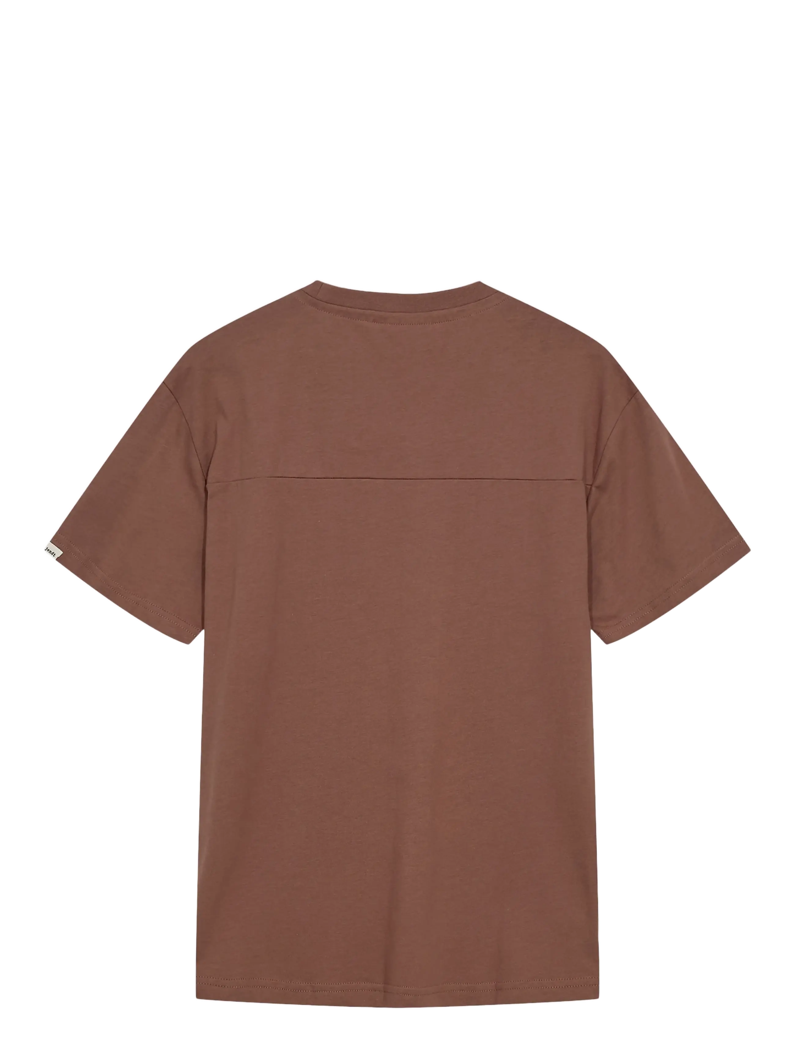 Anerkjendt - AKKIKKI S/S TEE NOOS - GOTS - kurzärmelig - cognac - 1