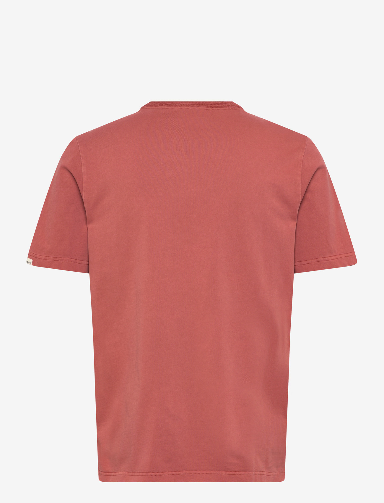 Anerkjendt - AKKIKKI S/S TEE - kortærmede t-shirts - auburn - 1