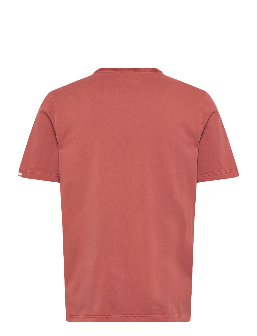 Anerkjendt - AKKIKKI S/S TEE - kurzärmelige t-shirts - auburn - 1