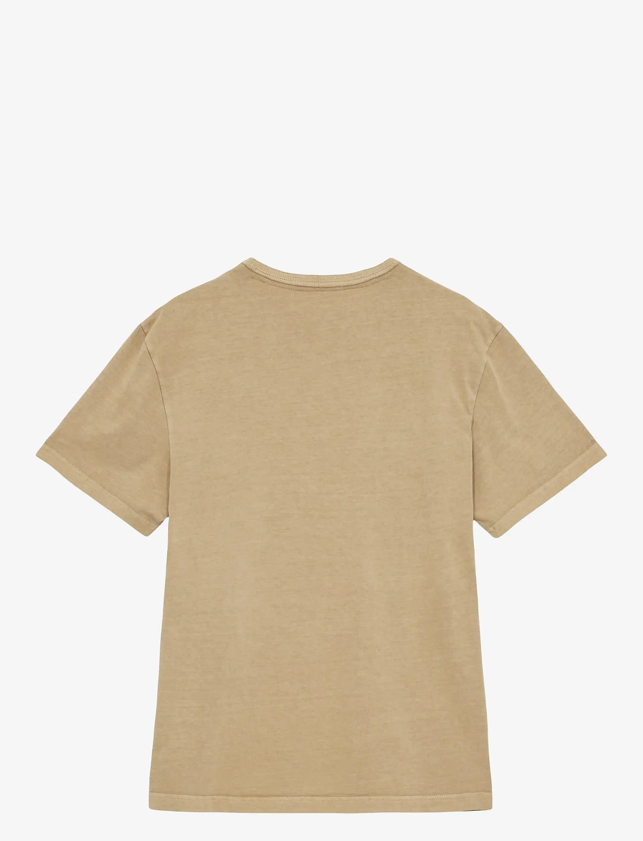 Anerkjendt - AKKIKKI S/S TEE - kortærmede t-shirts - incense - 1