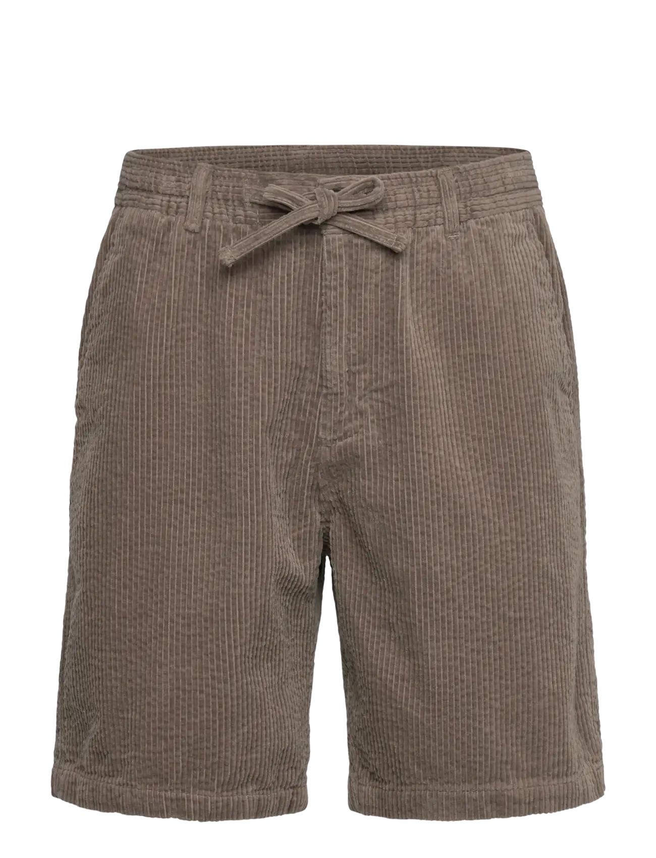Anerkjendt AKJAN CORDUROY SHORTS. - Tøj - DEEP LICHEN GREEN / green