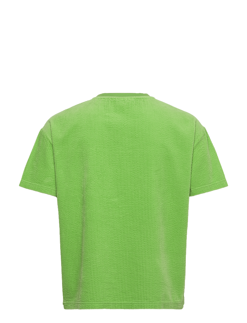 Anerkjendt - AKVILLADS CORDUROY S/S TEE - t-shirts - green gecko - 1