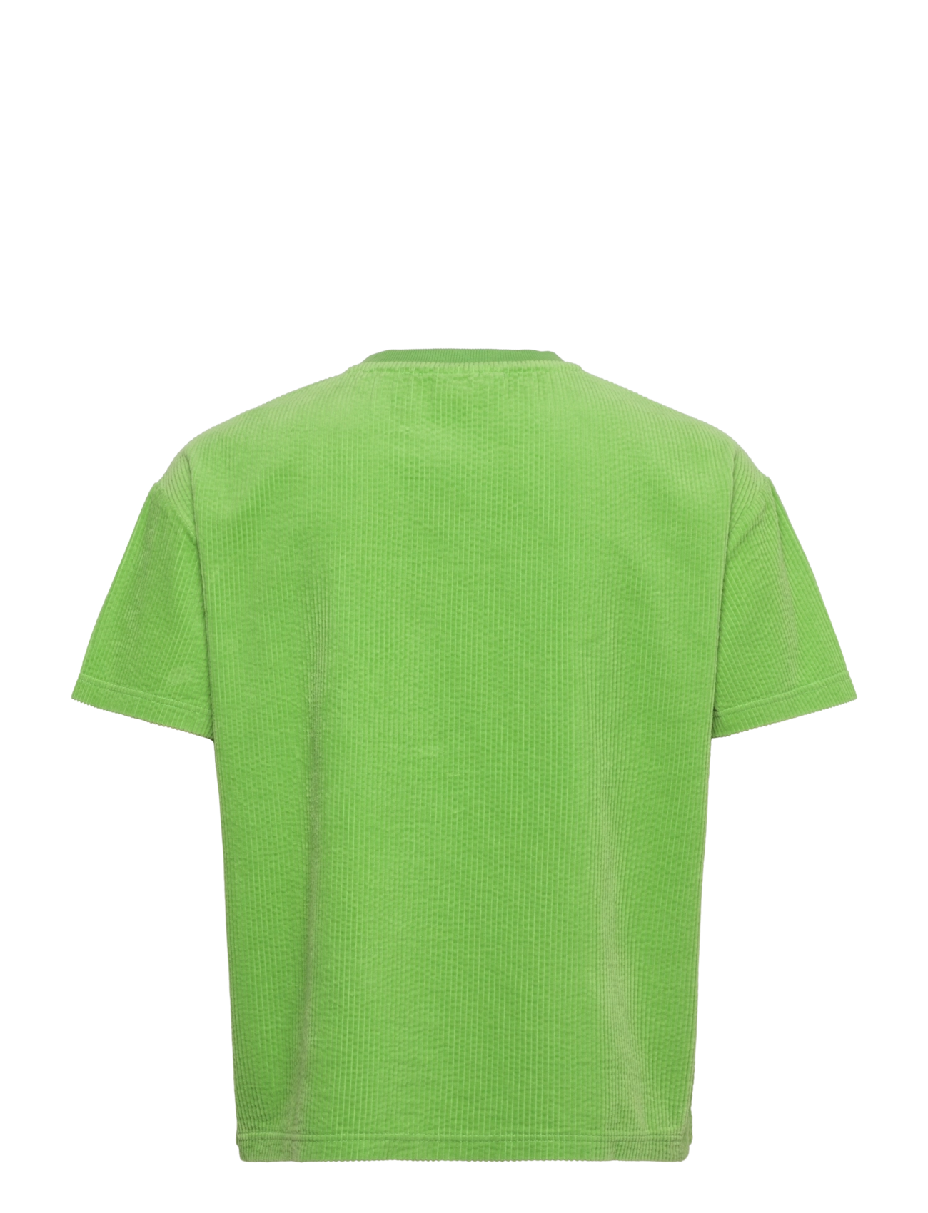 Anerkjendt - AKVILLADS CORDUROY S/S TEE - t-shirts - green gecko - 1