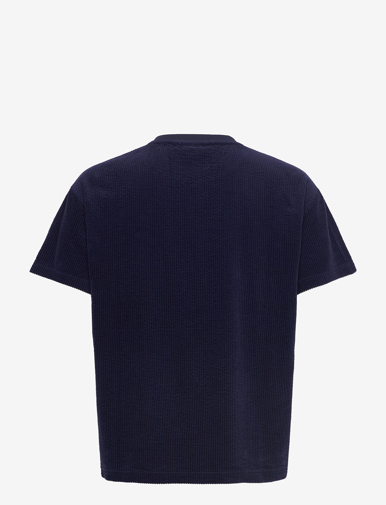 Anerkjendt - AKVILLADS CORDUROY S/S TEE - t-shirts - sky captain - 1
