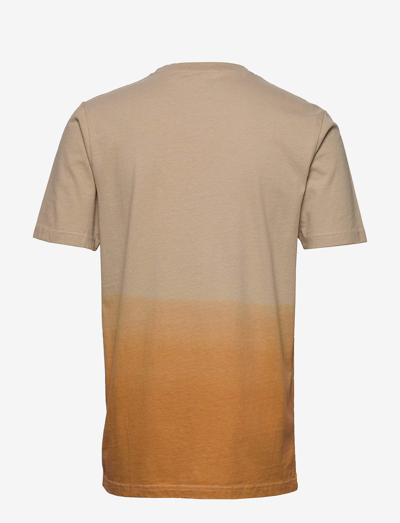 Anerkjendt - AKROD T-SHIRT - inca gold - 1
