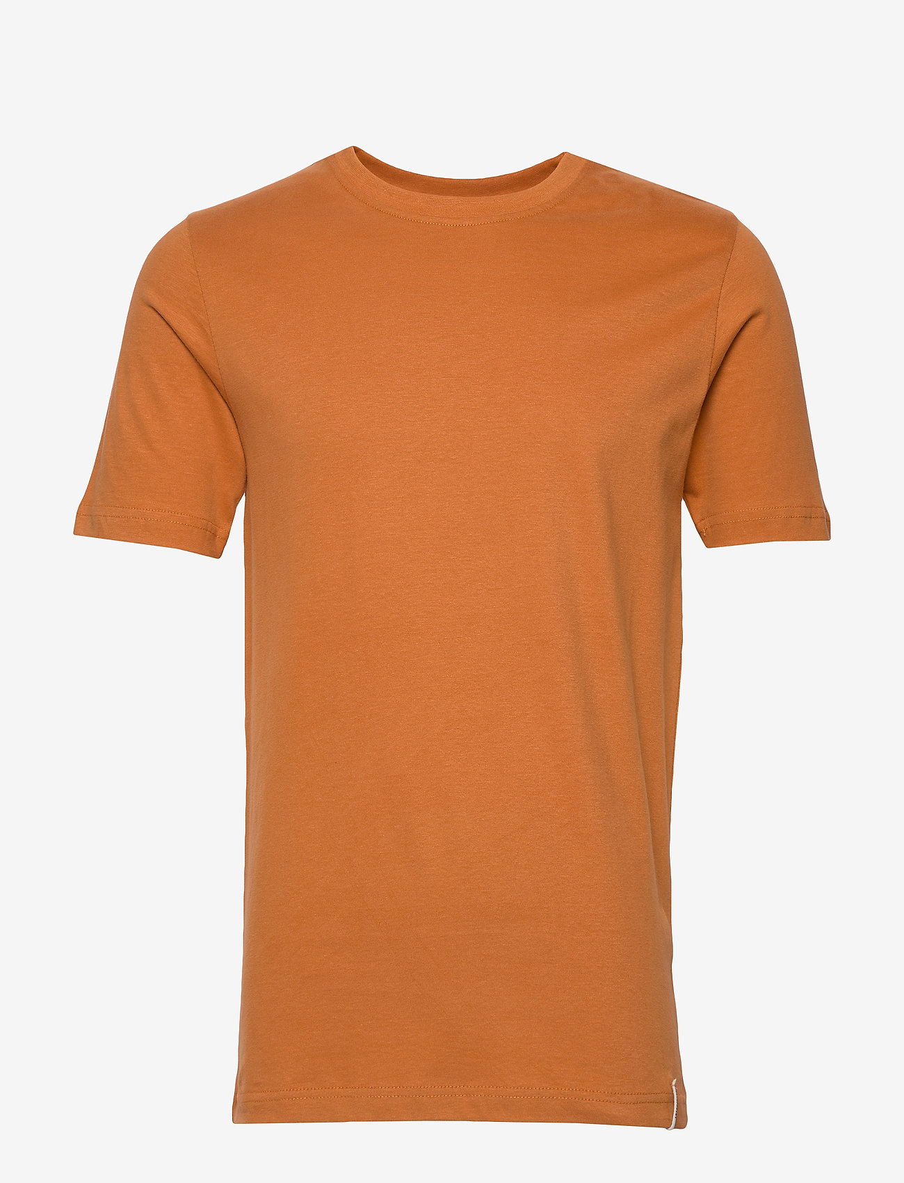 Anerkjendt - AKROD T-SHIRT - leather b. - 0