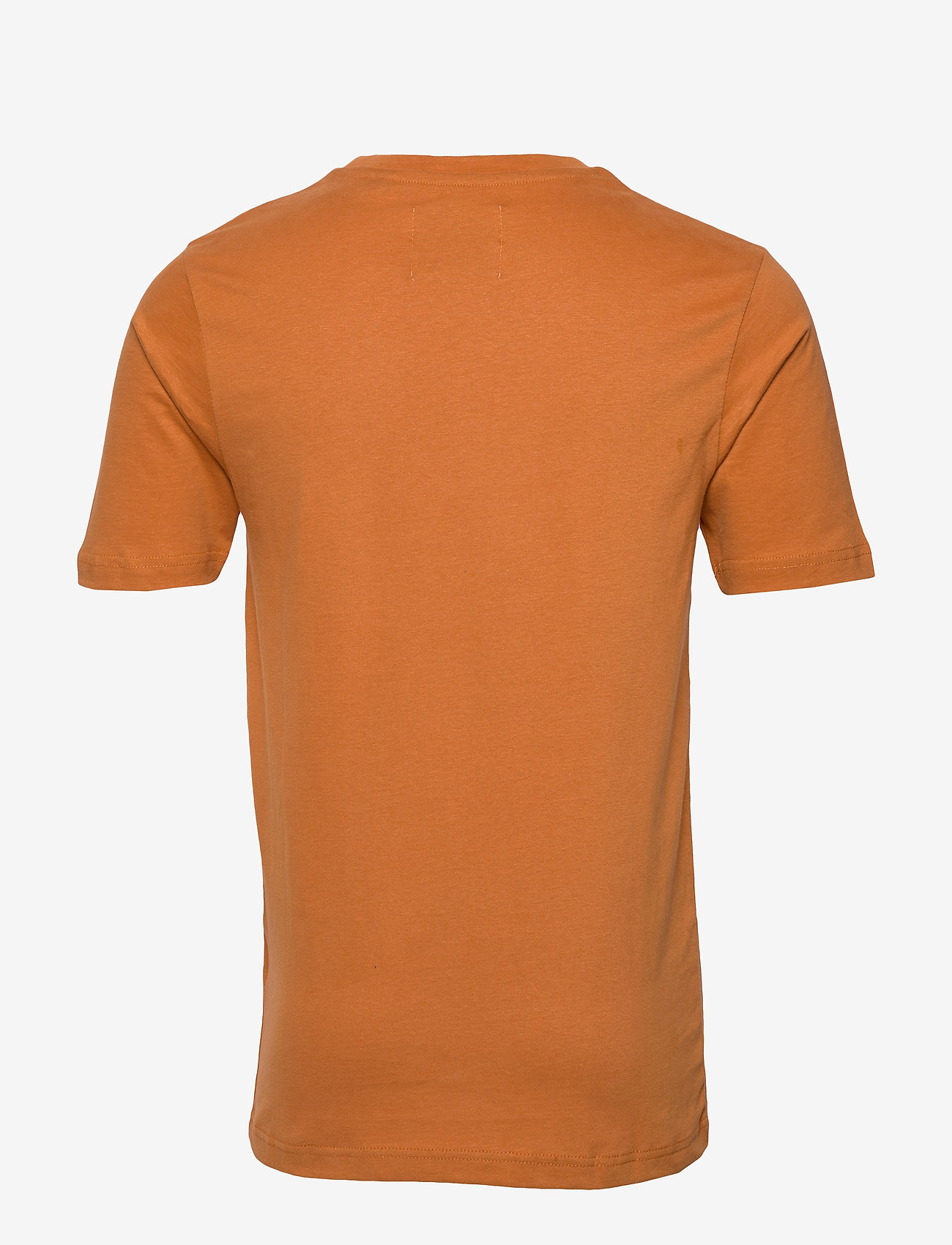 Anerkjendt - AKROD T-SHIRT - leather b. - 1