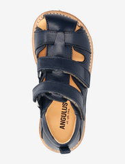 ANGULUS - Sandals - flat - closed toe - - gode sommertilbud - 2585 navy - 3