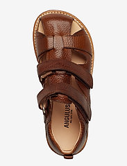 ANGULUS - Sandals - flat - closed toe - - strap sandals - 2509 cognac - 3