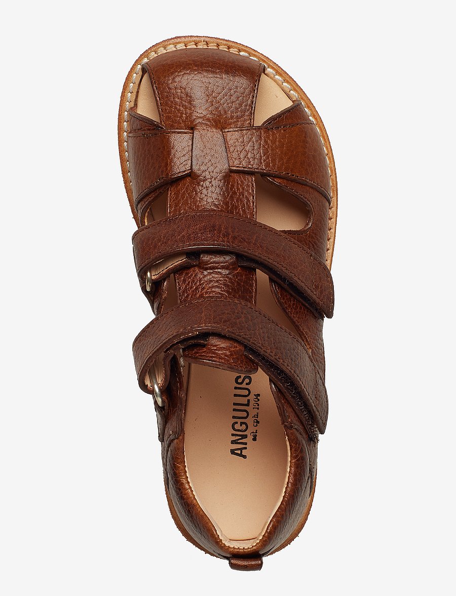 ANGULUS - Sandals - flat - closed toe - buty - 2509 cognac - 4
