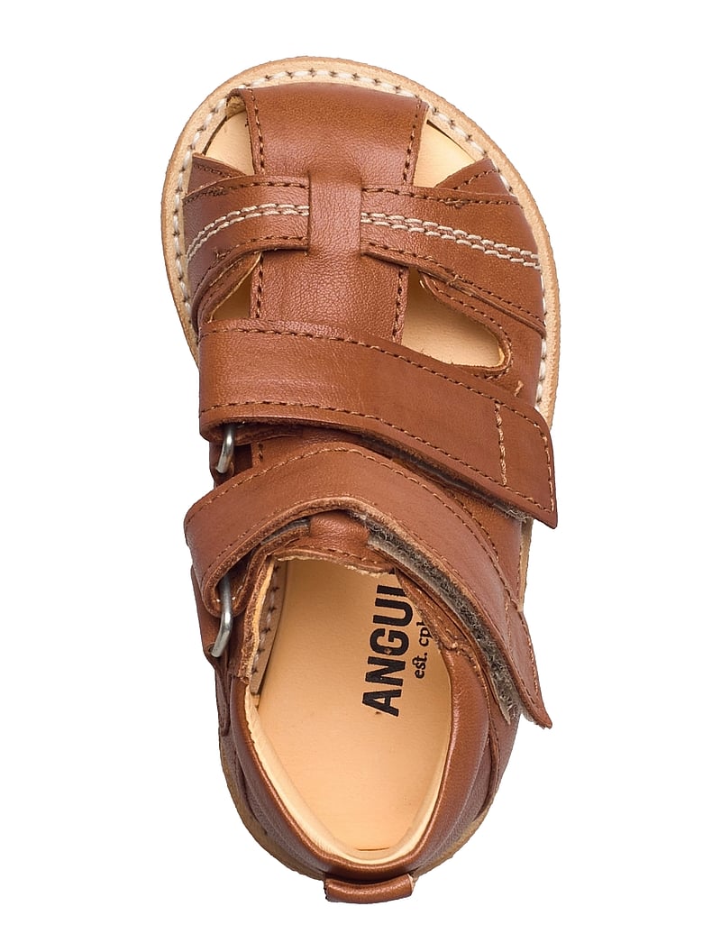 ANGULUS - Sandals - flat - closed toe - schuhe - 1545 cognac - 4