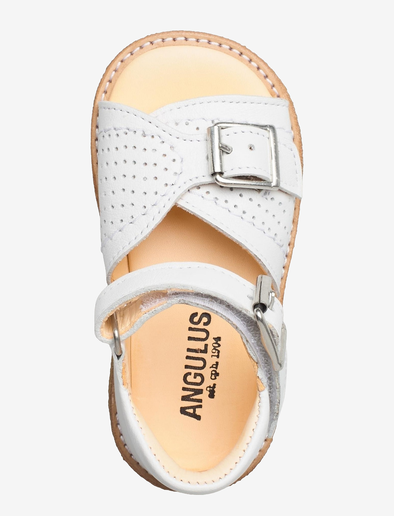ANGULUS - Sandals - flat - open toe - clo - 1521 white - 3