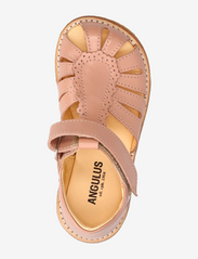 ANGULUS - Sandals - flat - closed toe - - sandaler - 1470 dark peach - 3
