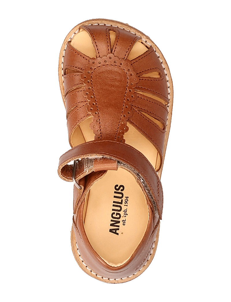 ANGULUS - Sandals - flat - closed toe - shoes - 1789 tan - 4