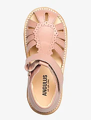 ANGULUS - Sandals - flat - closed toe - - sommerkupp - 1470 dark peach - 3