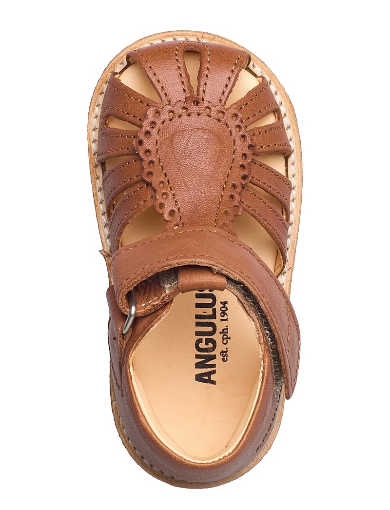 ANGULUS - Sandals - flat - closed toe - sko - 1545 cognac - 3