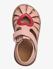 ANGULUS - Sandals - flat - closed toe - - sandals - 1730/1731 rose/red - 3