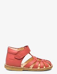 ANGULUS - Sandals - flat - closed toe - - sommarfynd - 1591 coral - 1