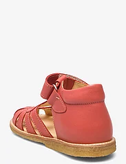 ANGULUS - Sandals - flat - closed toe - - sommarfynd - 1591 coral - 2