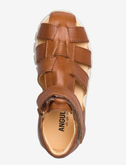 ANGULUS - Sandals - flat - closed toe -  - sandaalit - 1545 cognac - 3