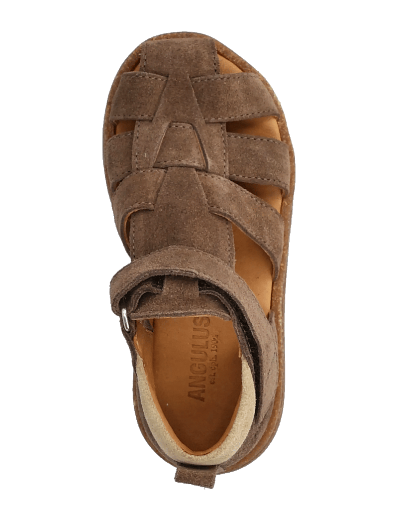 ANGULUS - Sandals - flat - closed toe - sko - 1780/2217 dark taupe/sand - 3